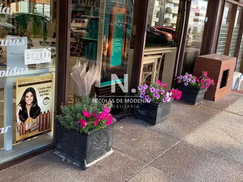 Local Comercial funcionando en Peninsula - Punta del Este, en venta