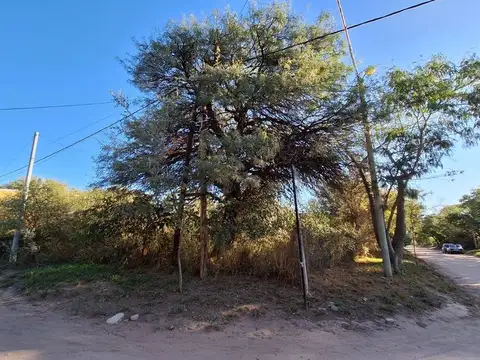 VENTA DE LOTE EN SAN MARCOS SIERRA DE 312M2