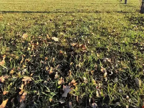 Terreno en Venta en Alejandro Petion, USD 55.000