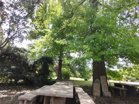 Venta quinta 6mil M² cerca rotonda derqui