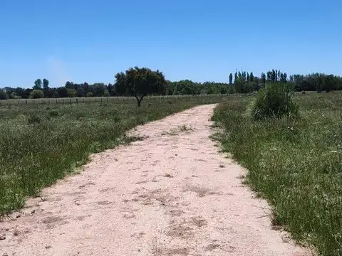 Terreno en venta - 38.183Mts2 - Estancia Benqueria, Monte