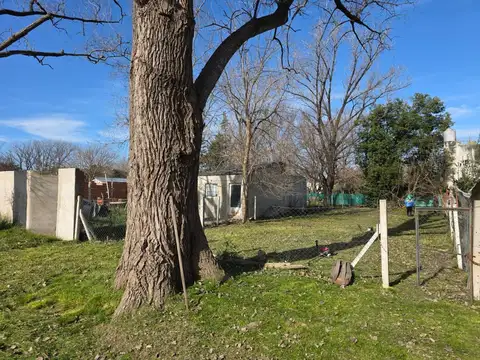 Terreno en Venta de 350,0 m2