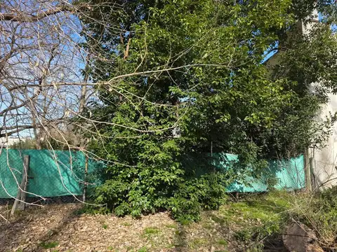 Terreno en Venta de 350,0 m2