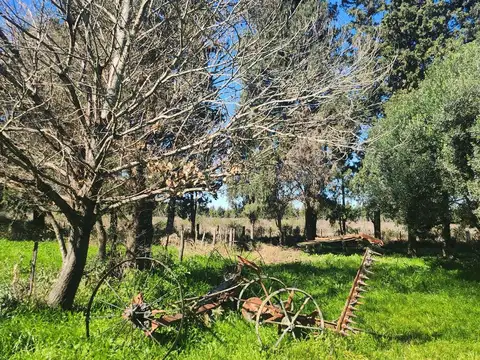 Camino Costa Brava Cuartel III Zarate