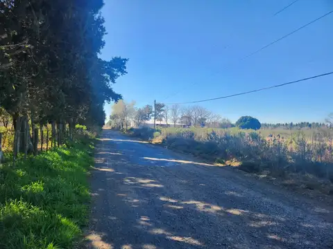 Camino Costa Brava Cuartel III Zarate