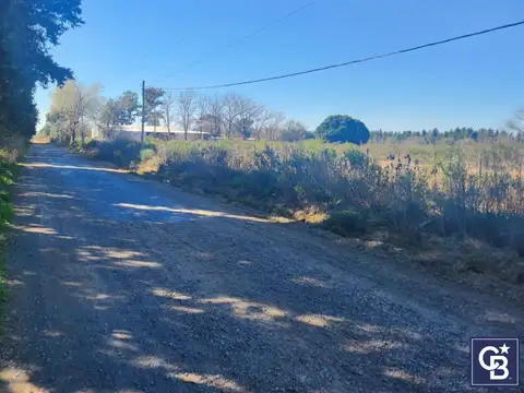 Venta de Campo de 9Has ideal inversión en Zárate