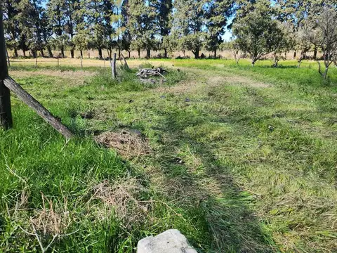 Venta de Campo de 9Has ideal inversión en Zárate