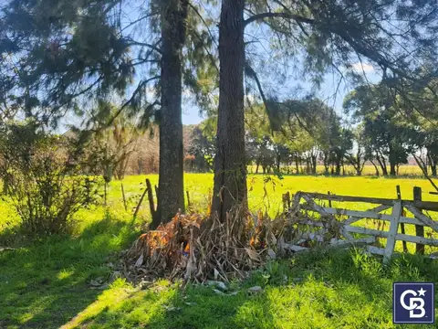 Camino Costa Brava Cuartel III Zarate