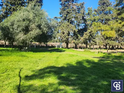Venta de Campo de 9Has ideal inversión en Zárate