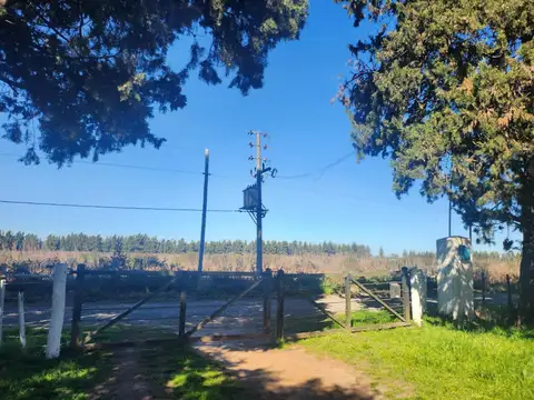 Camino Costa Brava Cuartel III Zarate