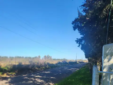 Venta de Campo de 9Has ideal inversión en Zárate