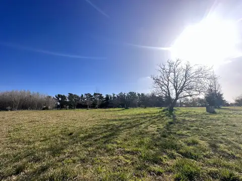 Cod 144 – La Victoria, Lote 74