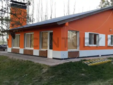 VENTA CHACRA 48 HECTAREAS PRODUCCION AGRICOLA ZONA RURAL DE VIEDMA PROVINCIA DE RIO NEGRO