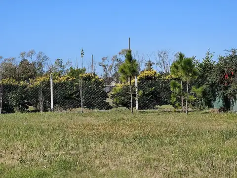 Federico Luchetti 2800