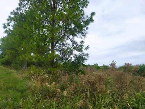 Chacra.2 has. 133 metros de frente a Ruta N° 20.