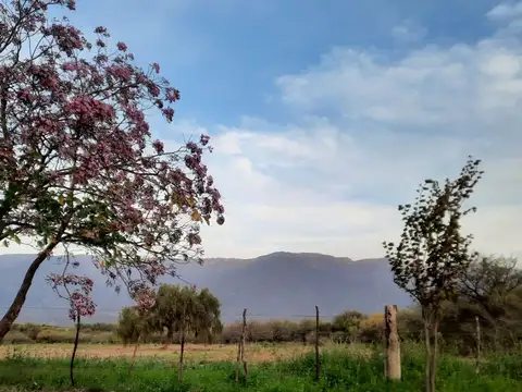 SE VENDE HECTAREAS EN HUAYCAMA VALLE VIEJO
