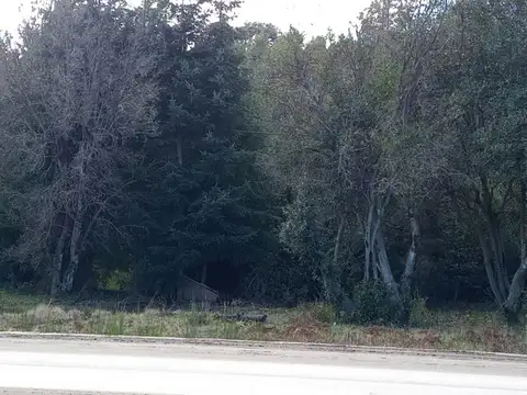 Terreno en Venta 60  mts Frente