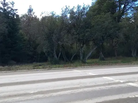 Terreno en Venta de 5941,16 m2