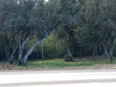 Terreno en Venta 100  mts Fondo