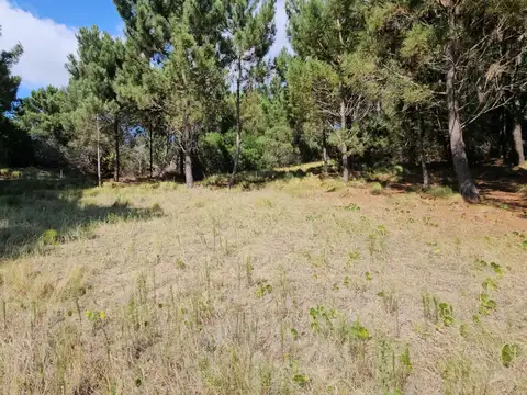 Terreno en Venta en Barrio Golf 1, USD 150.000