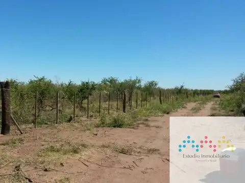 Cuesta La Granadilla 100