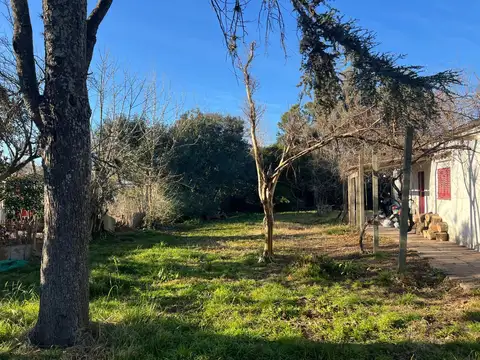 Casa A Reciclar En Venta En Manzanares - Pilar