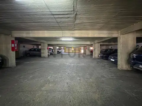 San Lorenzo 1000, Piso 0