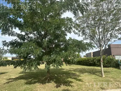 Lote interno de 568m² en venta en San Ramón, Pilar del Este