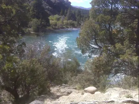 Ruta Provincial 63- Rio Caleufu