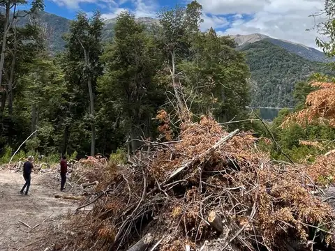 Terreno en Venta de 1100,0 m2