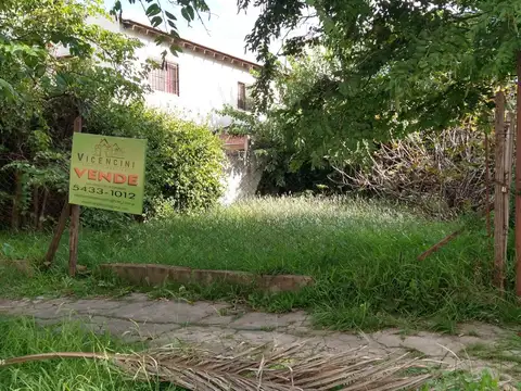 Terreno en Venta 20  mts Fondo