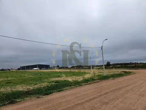 Terreno en Venta de 8000,0 m2