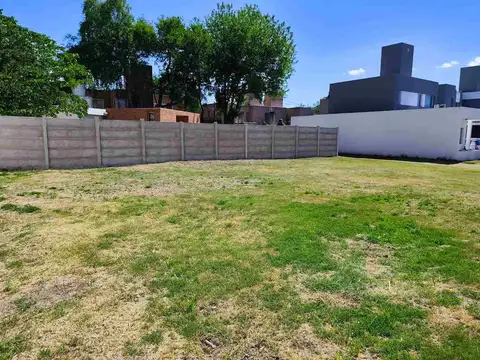 Beato Aníbal Di Francia 6400