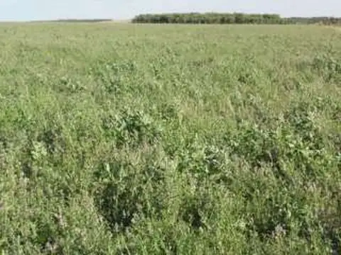 Campo en Venta Mixto