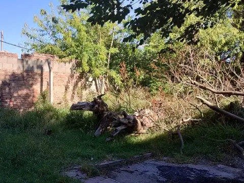 Local en Venta 31 años