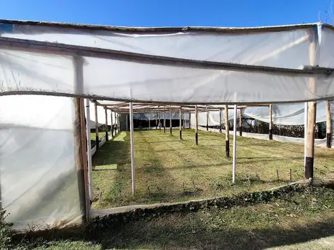 Casa en Venta con 6 cocheras