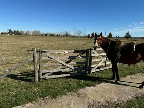 Terreno en Venta en San Miguel Del Monte, USD 35.000