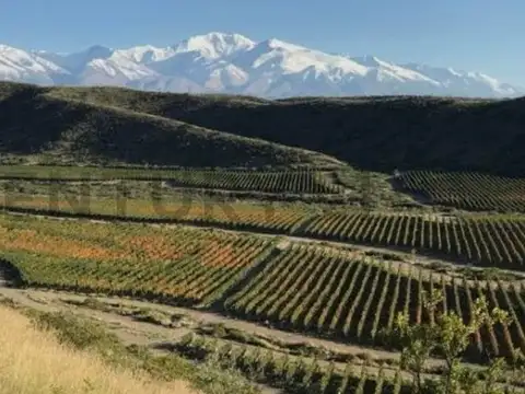 Campo en Venta de 0,01  ha