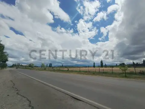 Servidumbre de Tránsito con salida a Los Álamos y Ruta Provincial 89 100, Piso 0