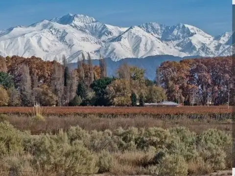 Servidumbre de Tránsito con salida a Los Álamos y Ruta Provincial 89 100, Piso 0