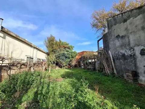 Albert Schweitzer 3200