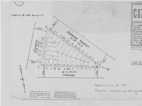 Lote venta en Chacarita Zonificación USAA