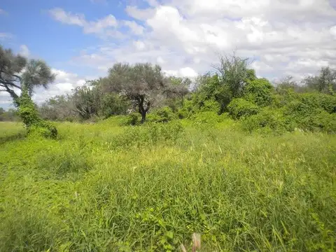 Campo en Venta de 380  ha