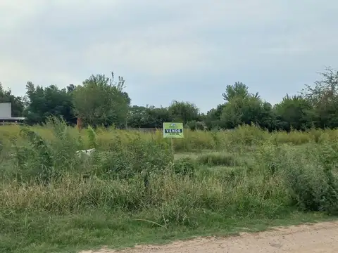 Terreno en Venta de 350,0 m2