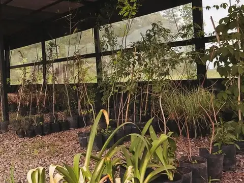 Barrio Laguna de las Pampas - San Andrés de Giles