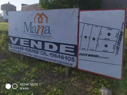 Perito Moreno Y Casuarinas