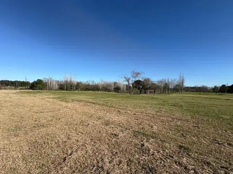 El Campo, Fincas Exclusivas, Lote 166