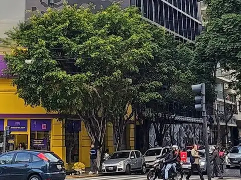 Oficina en Alquiler A Estrenar