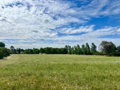 Terreno en Venta de 6200,0 m2