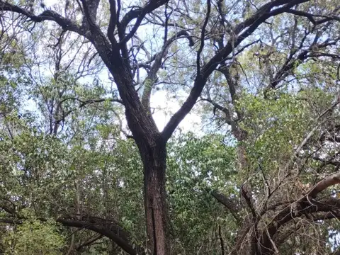 Terreno en Venta de 3675,0 m2